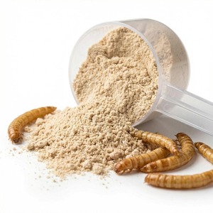Bulk Defatted Mealworm Powder High Protein Pet Food Ingredient for Animal Feed