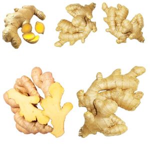 Vietnamese Ginger Raw Bulk Wholesale