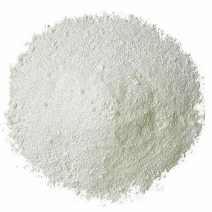 Bulk Supply Vanilla Powder for Food Ingredient Distributors Bakery Chains and Global Commercial Buyers Seeking Reliable Source