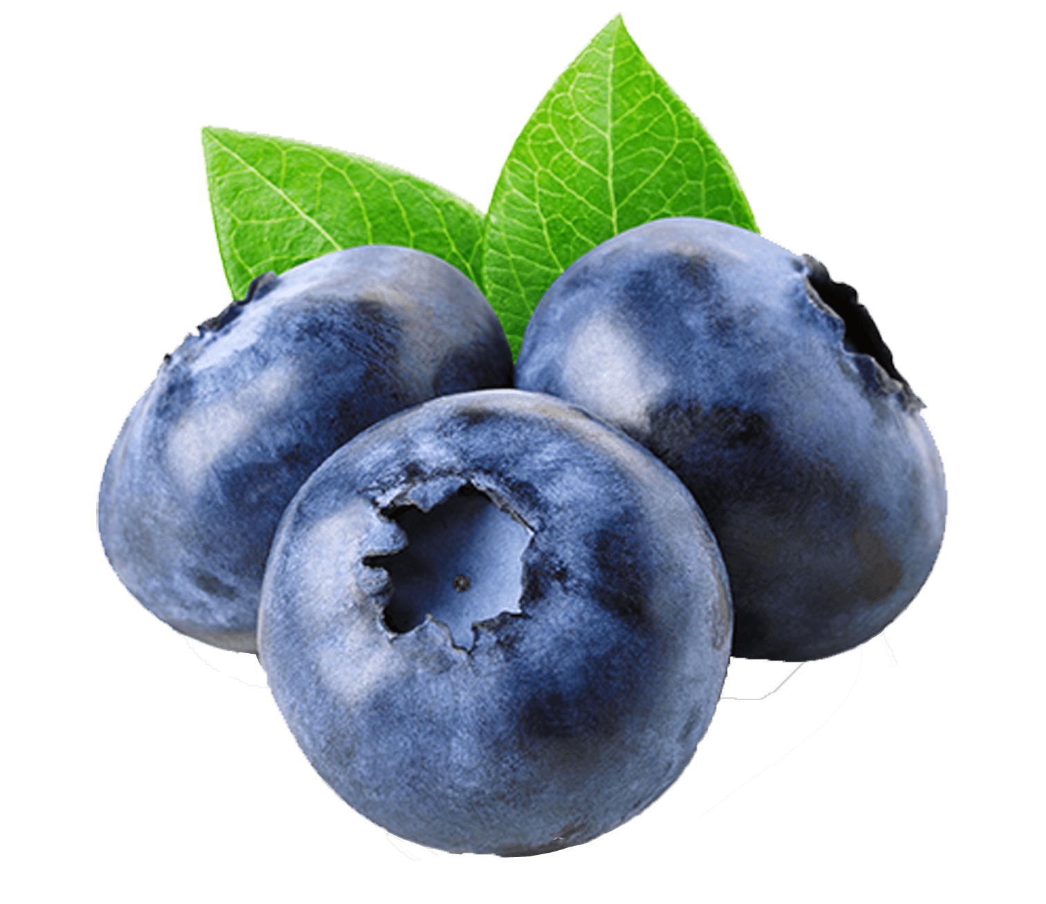 Natural antioxidant ingredients