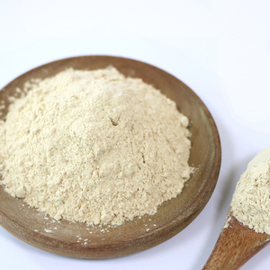 Wholesale Bulk Garlic Dried Powder AD 100 Mesh