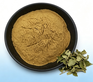Stinging Nettle Extract 70% Silica Powder